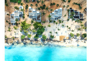 Aerial view of palm trees, umbrellas, a Nature Photo by den-belitsky