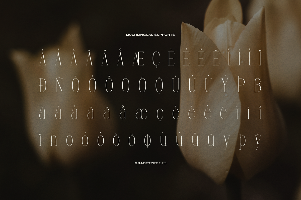 Anora Carmeo | Display Elegant Serif, a Font by gracetype_studio (Photo 12 of 12)