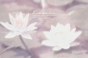 Rosewater Dreamy Pastel Backgrounds, a Background Graphic by alonahaidash (Thumbnail 5 of 16)