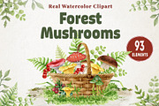 Forest Mushrooms Watercolor Clipart, a Decorative Illustration by AnitaPol (Thumbnail 1 of 21)