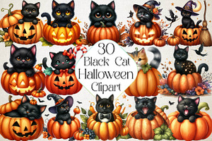 Black Cat in Pumpkin Halloween, an Illustration by DreamPrint404