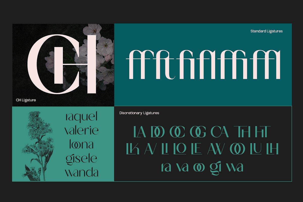 TBJ Milky – 8 Styles Boldly Sans, a Sans Serif Font by Taboja Studio (Photo 7 of 18)