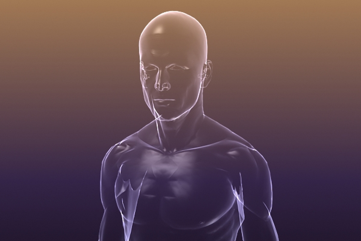 Male And Female Anatomy X-ray Bodies, a Characters & Person 3D Model by VisualCG (Photo 2 of 15)
