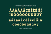 Kindrich – Vintage Serif Font, a Sans Serif Font by Drizy (Thumbnail 6 of 10)