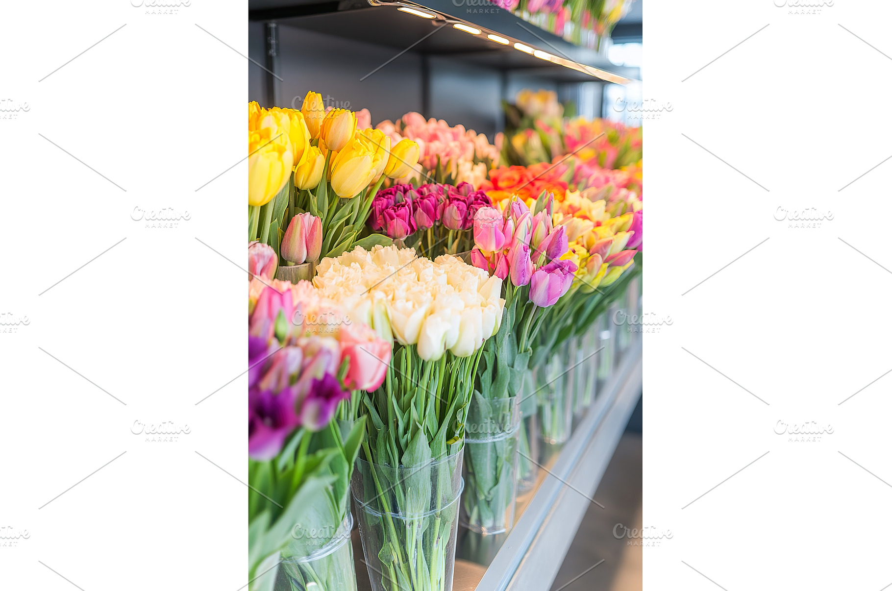 Colorful tulips in glass vases, a Nature Photo by Lermont51