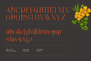 Ager - Display Serif