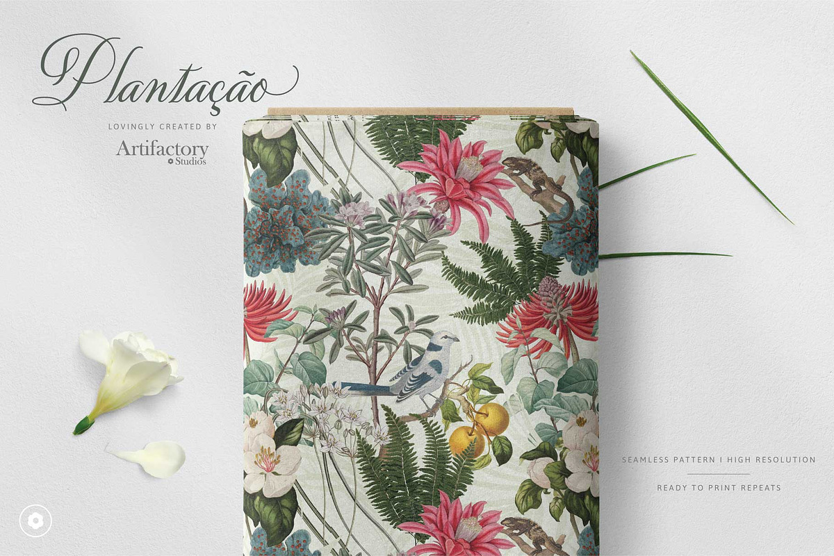 Plantação Botanical Elements I PNG, a Pattern Graphic by Artifactory Studios (Photo 4 of 8)