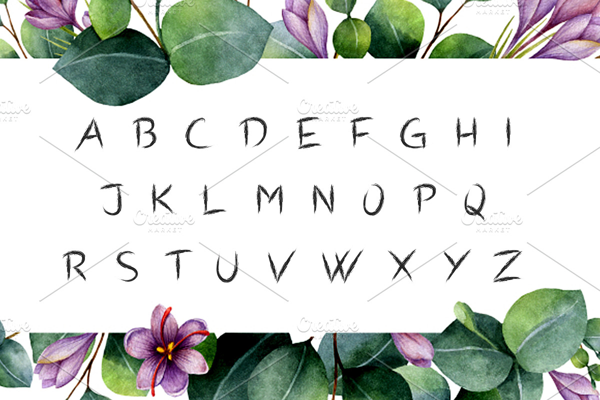 Shrub Brushy Font preview 2
