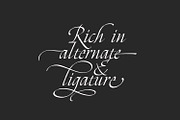 Zalika - Italic Calligraphy Font, a Blackletter Font by Cititype (Thumbnail 6 of 12)