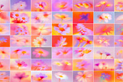 Slow Petal: Floral Blur Backgrounds, a Background Graphic by Anzhelika (Thumbnail 4 of 10)