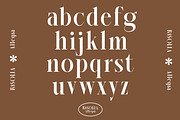 Angitra - Elegant Ligature Serif, a Serif Font by Luna Shop (Thumbnail 4 of 11)