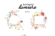 Lumiere - Rose & Cream Florals, an Illustration by Isabelle Salem (Thumbnail 11 of 15)