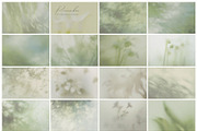 PENUMBRA Soft Green Blur Backgrounds, a Background Graphic by alonahaidash (Thumbnail 12 of 15)