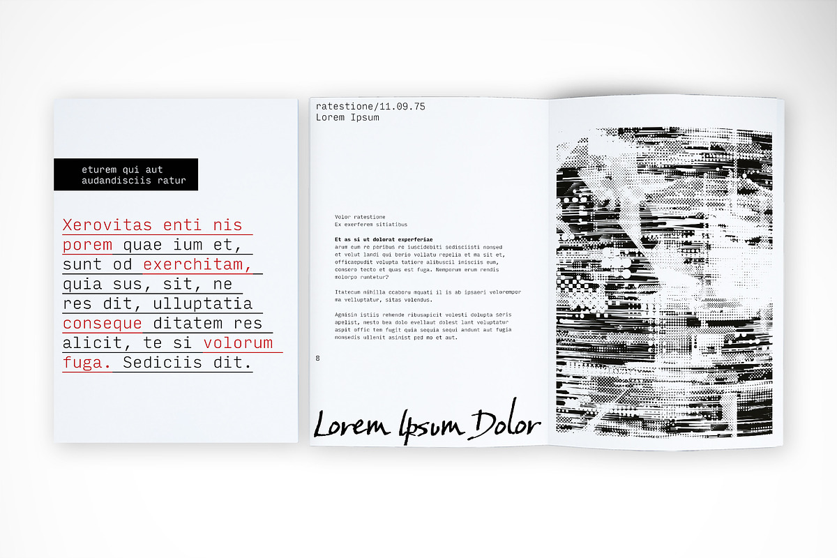Brutalist Editorial Template, a Print Template by McLittle Stock (Photo 4 of 4)
