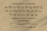 Sauxlle, a Script Font by Integritype Studio (Thumbnail 9 of 15)