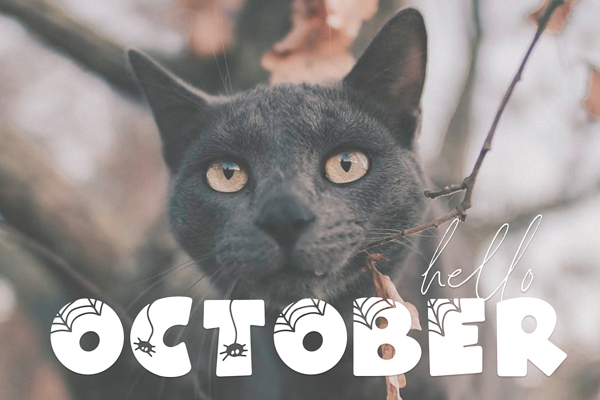 Spooky | Fun Halloween Font, a Font by KA Designs (Photo 8 of 10)