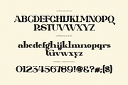 Qarifa Elegant Ligature Serif Font, a Serif Font by Perfectype (Thumbnail 7 of 8)