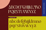 Avelisse - Modern Luxury Serif Font, a Serif Font by PaperMoon (Thumbnail 8 of 10)
