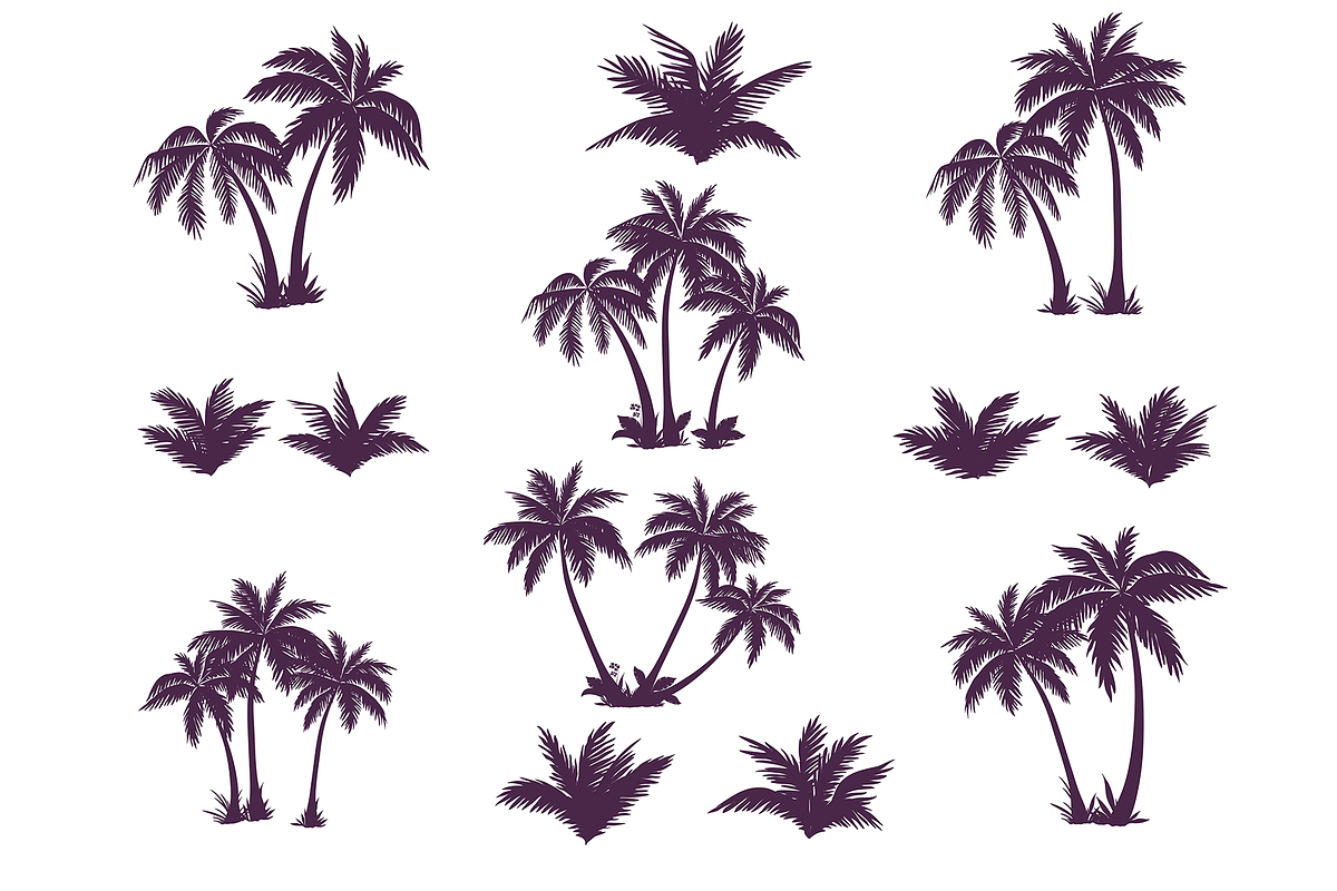 Set of silhouettes of palm trees, an Object Illustration by ProArt