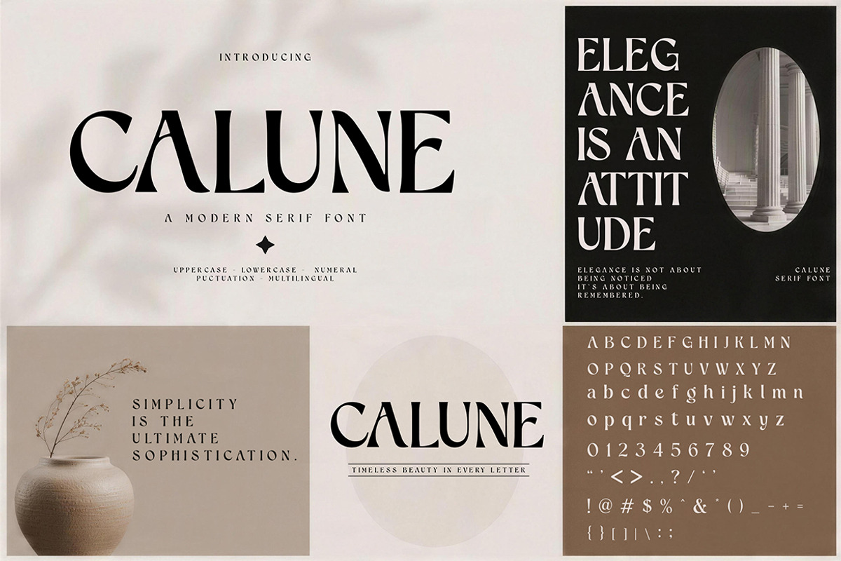 CALUNE, a Serif Font by Pitchlook.Studio (Photo 5 of 5)