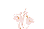 Flower clipart retro cottagecore set, an Object Graphic by Anna Sokol (Thumbnail 8 of 10)