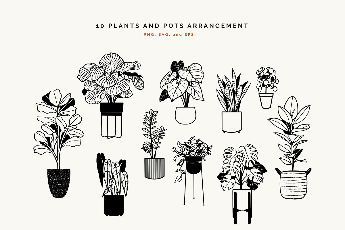 House Plants and Pots Collection, an Illustration by imajineko (Photo 8 of 9)