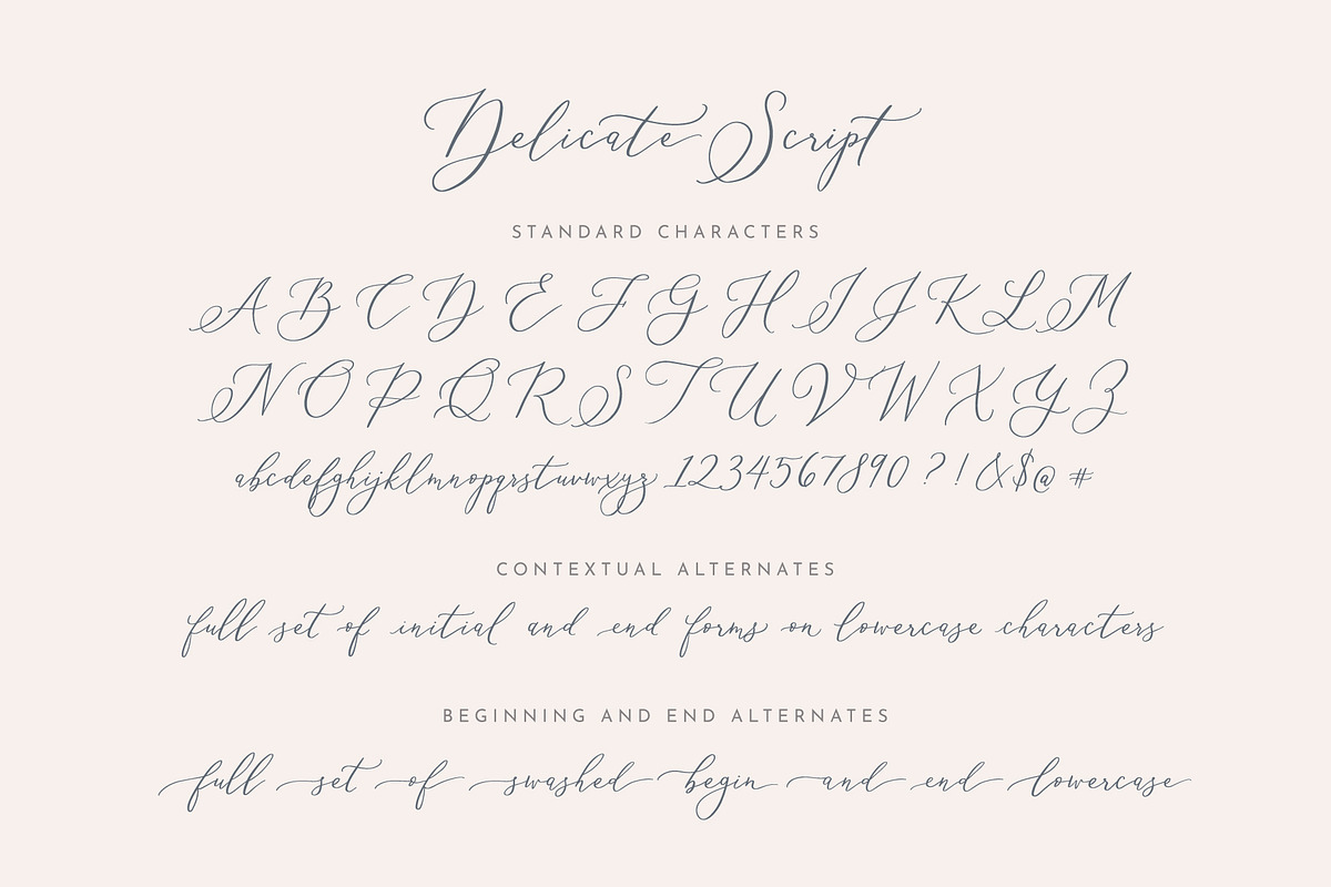 Delicate Elegant Script & Ornaments, a Script Font by Mila Garret (Photo 9 of 11)