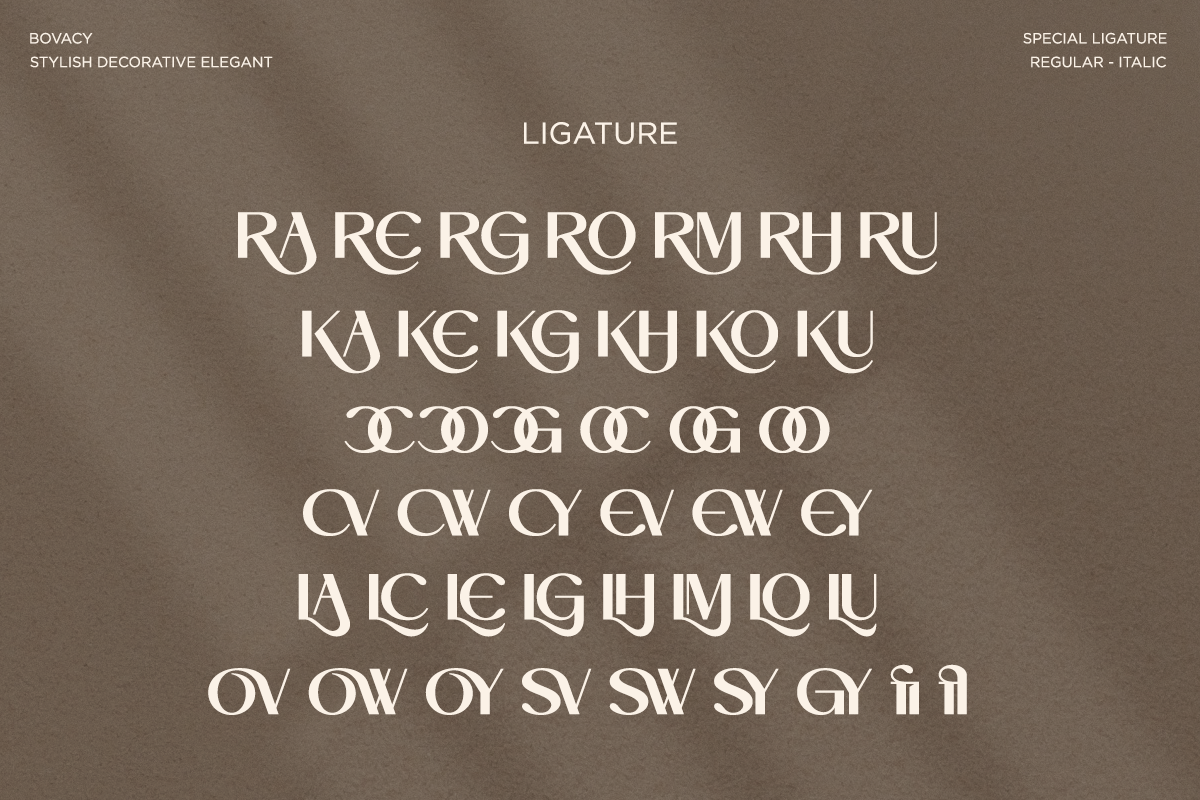 Bovacy - Modern Elegant Serif, a Serif Font by Say Studio (Photo 15 of 15)