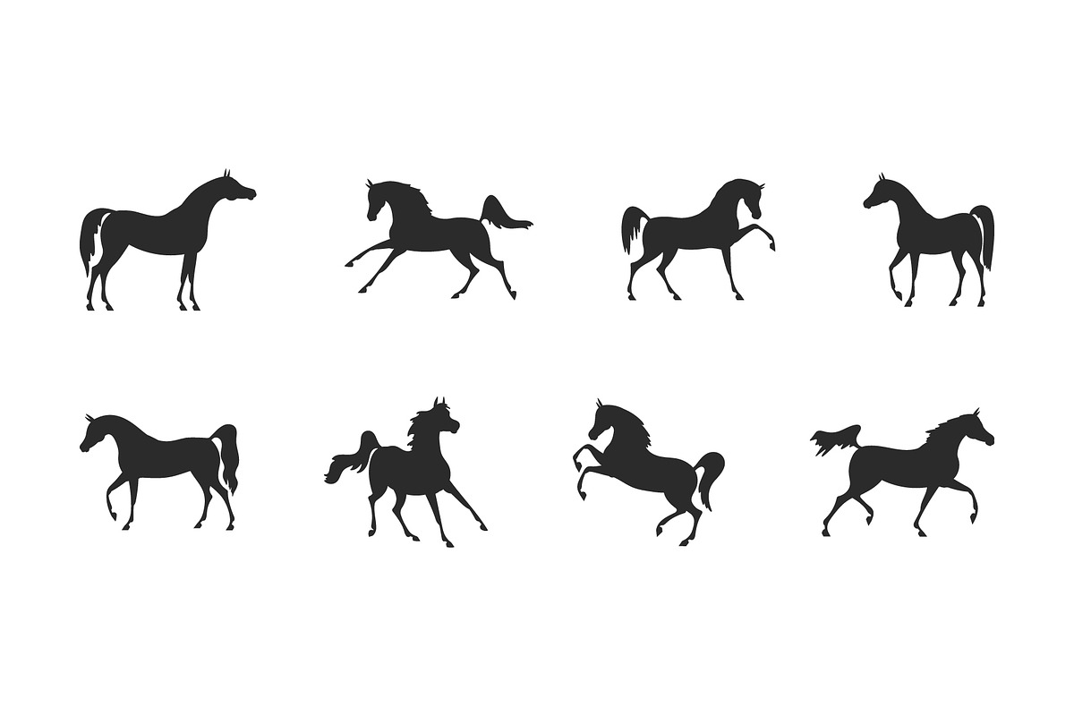 Arabian horses vector illustration, an Animal Illustration by Naurider (Photo 3 of 3)
