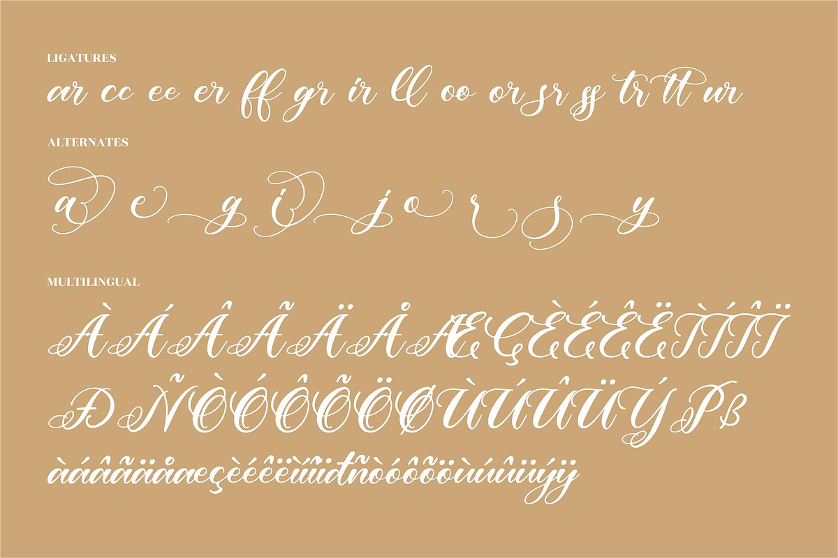 Rafaela Belaria Beautiful Script, a Script Font by Letterena Studios Script (Photo 14 of 15)