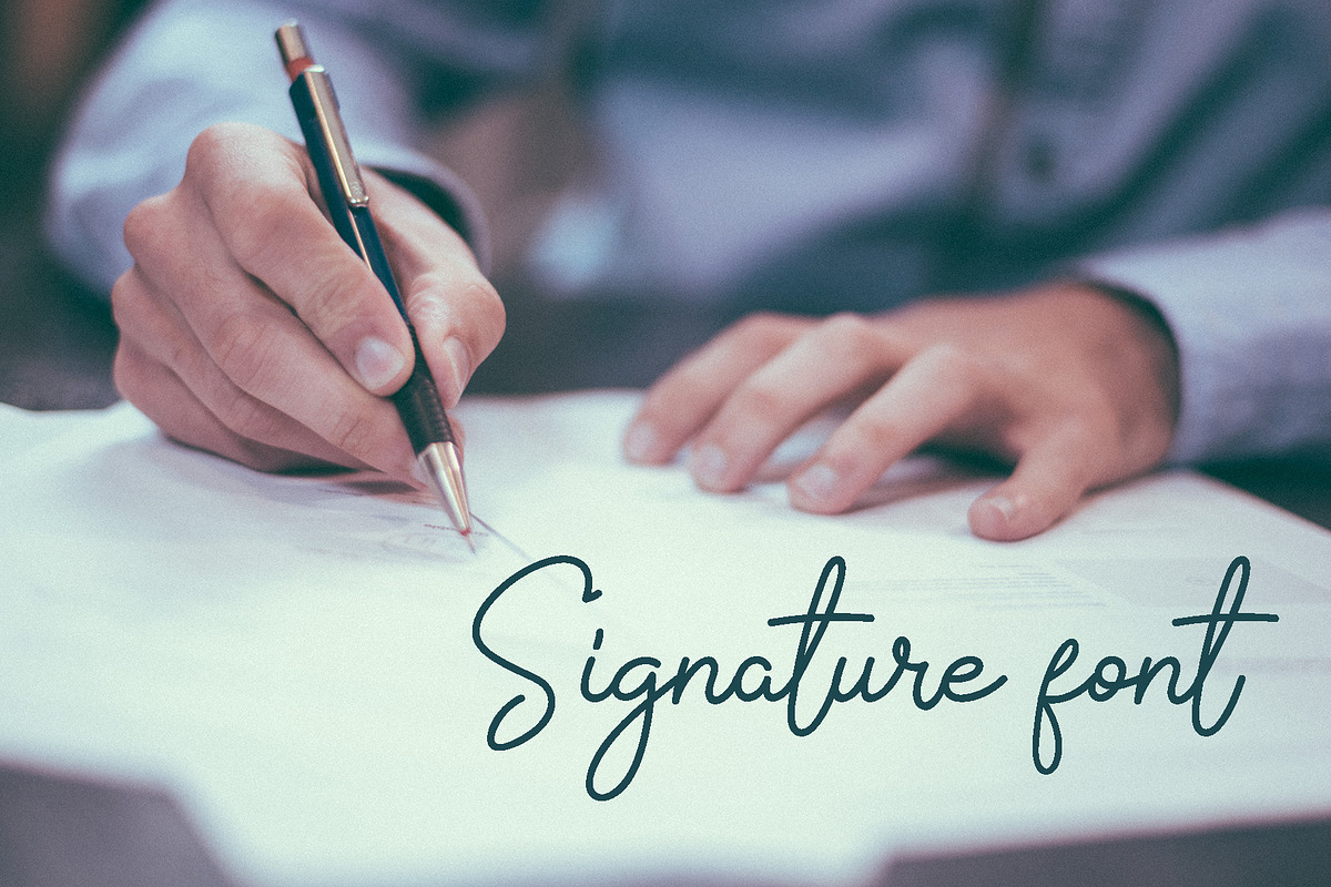 The Signate preview 2