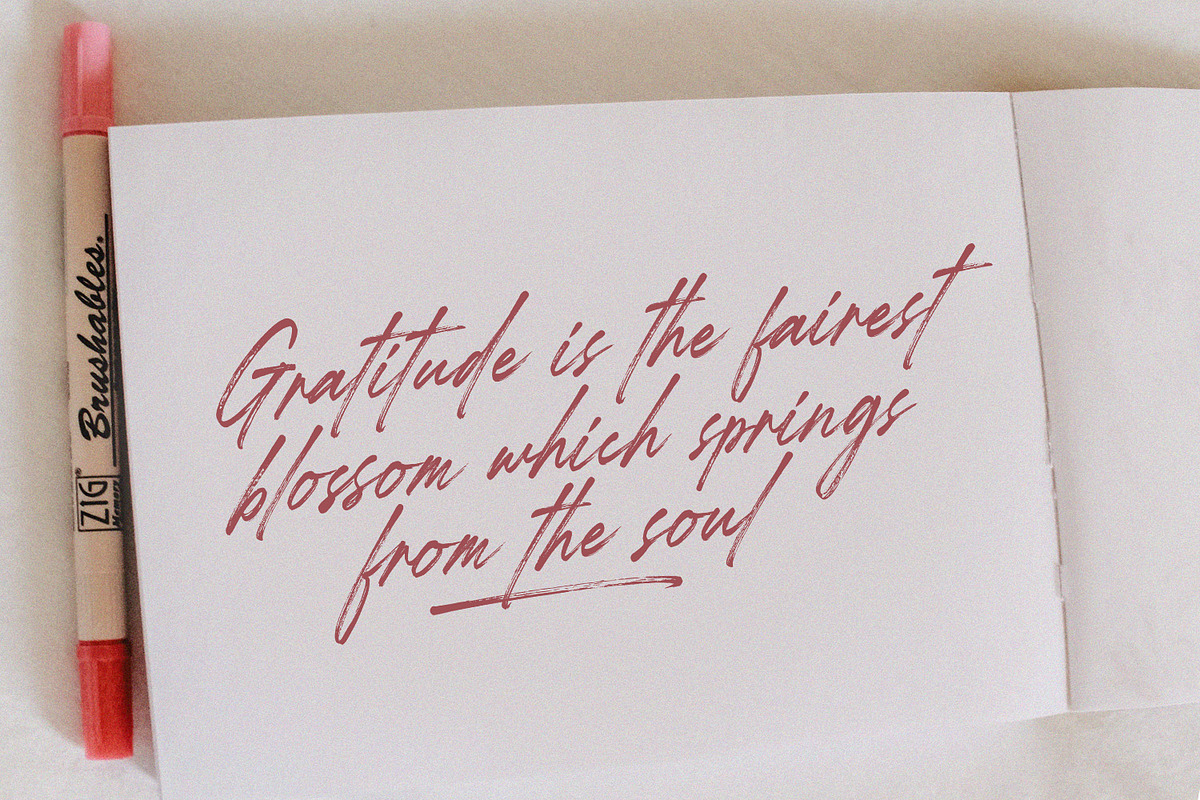 Starlight Alaska - Brush Script, a Handwritten Font by Subectype Studio (Photo 5 of 8)