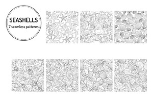 Seashells Vector Collection Line Art