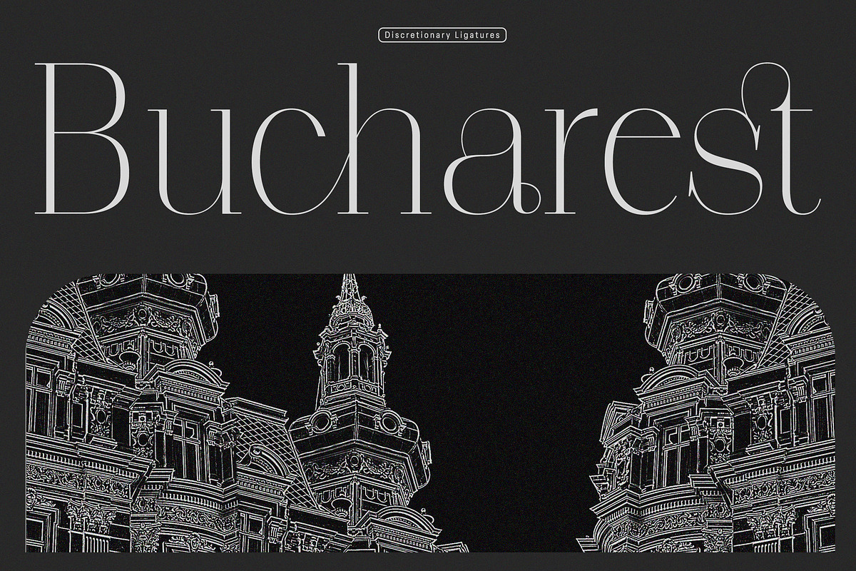 Polyglot Neue, a Serif Font by MJtypefoundry (Photo 12 of 13)