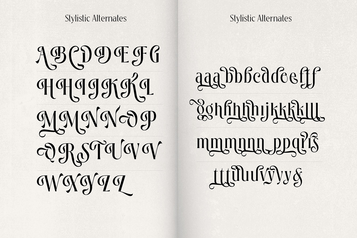 Loubrisa - Playful Branding Fonts, a Serif Font by creativemedialab (Photo 7 of 13)