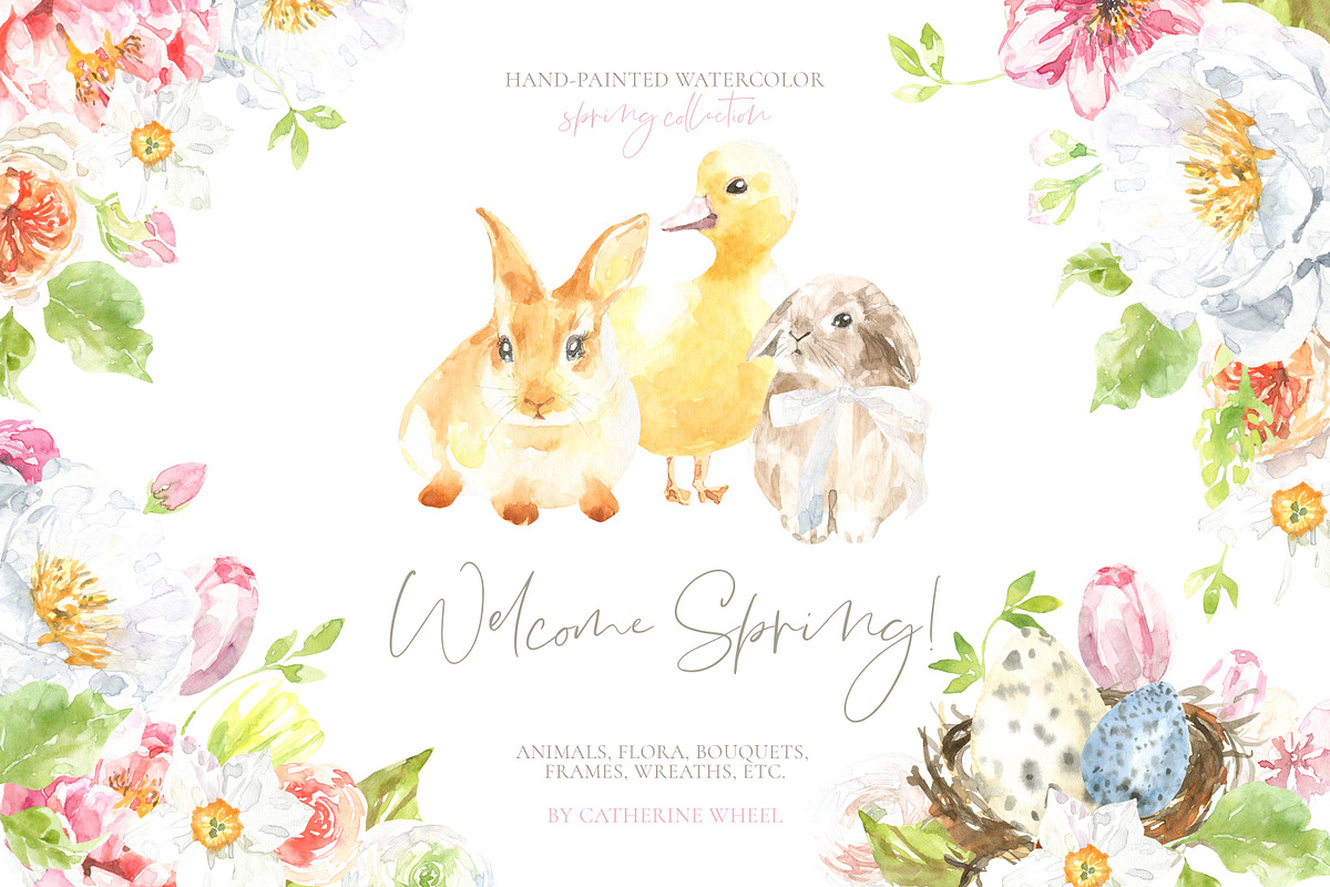 52in1 Whole Shop Bundle Watercolor, an Animal Illustration by Catherine Wheel (Photo 13 of 28)