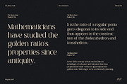 TBJ Black Gold 2-Styles Serif, a Serif Font by Taboja Studio (Thumbnail 2 of 15)