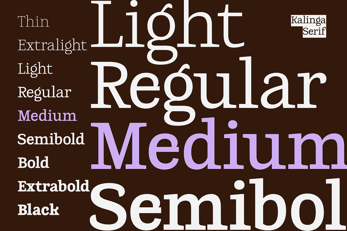 Kalinga | 91 Style Font, a Serif Font by Bosstype Studio (Photo 2 of 15)