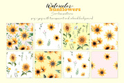Sunflowers Watercolor Collection, a Decorative Illustration by Slastick (Thumbnail 4 of 8)