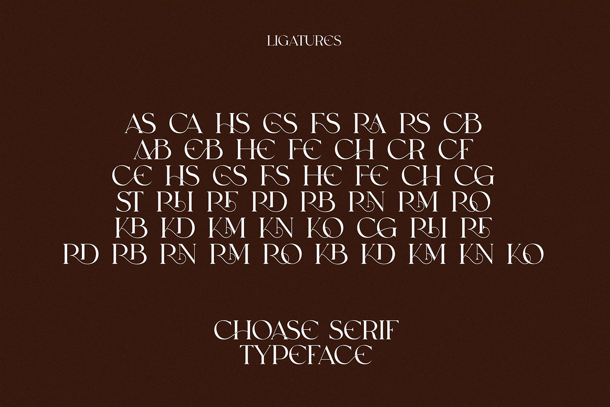 CHOASE Modern Ligature Serif, a Serif Font by Alfinart (Photo 9 of 9)