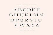 Richy - Unique Chic Font, a Serif Font by Sensatype (Thumbnail 10 of 21)