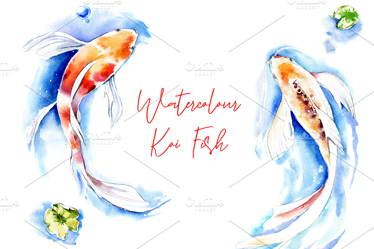 Watercolor Koi Fish, an Illustration by Botanical Art Shop (Photo 1 of 5)