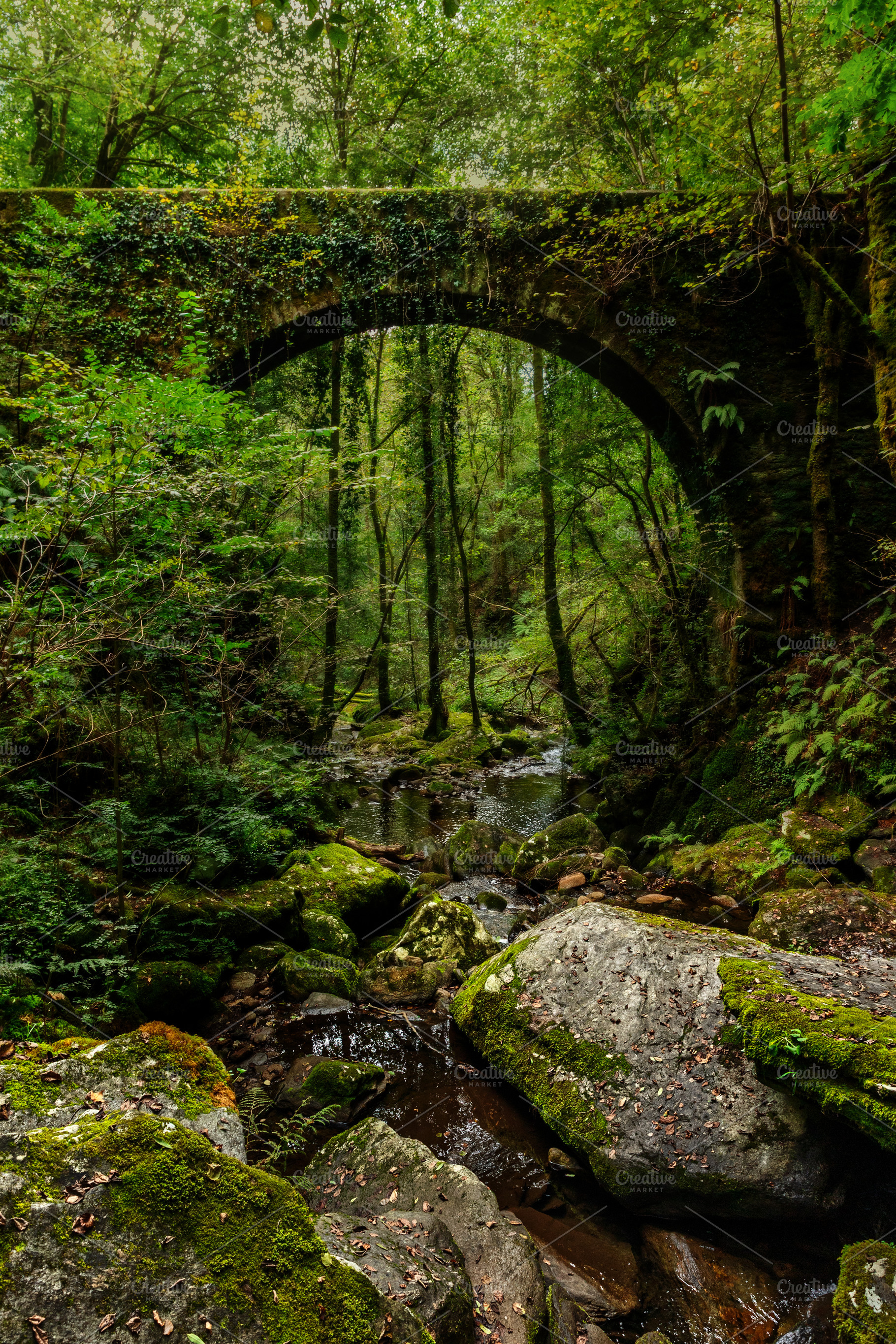 Moss-Covered Stone Bridge in a Dense, a Nature Photo by Perpis