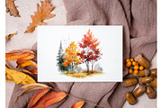 Watercolor digital tree clipart png, an Object Graphic by KomtsyanTatyanaArt (Thumbnail 7 of 7)