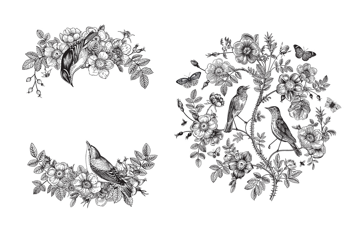 Wild Roses, a Decorative Illustration by olga.korneeva (Photo 3 of 24)