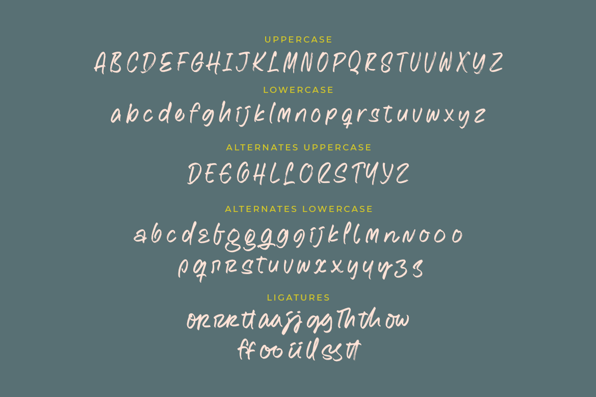 Chicago Brush | A Brush Font, a Font by Colllab Studio (Photo 15 of 18)