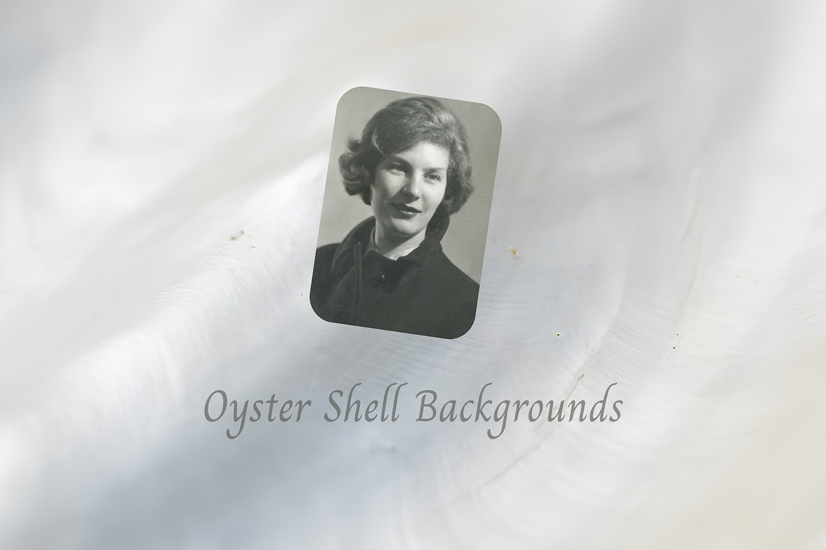 Oyster Shell Textures Backgrounds, a Background Graphic by youtoview (Photo 8 of 12)