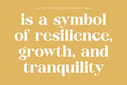 Kavare Bold Modern Serif Font, a Serif Font by timelesstype.co (Thumbnail 15 of 20)