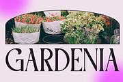Maoze - Classic Serif Font, a Serif Font by MaikoHatta (Thumbnail 3 of 7)