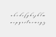 Mandalina Classical Script Font, a Script Font by UICreative (Thumbnail 6 of 13)